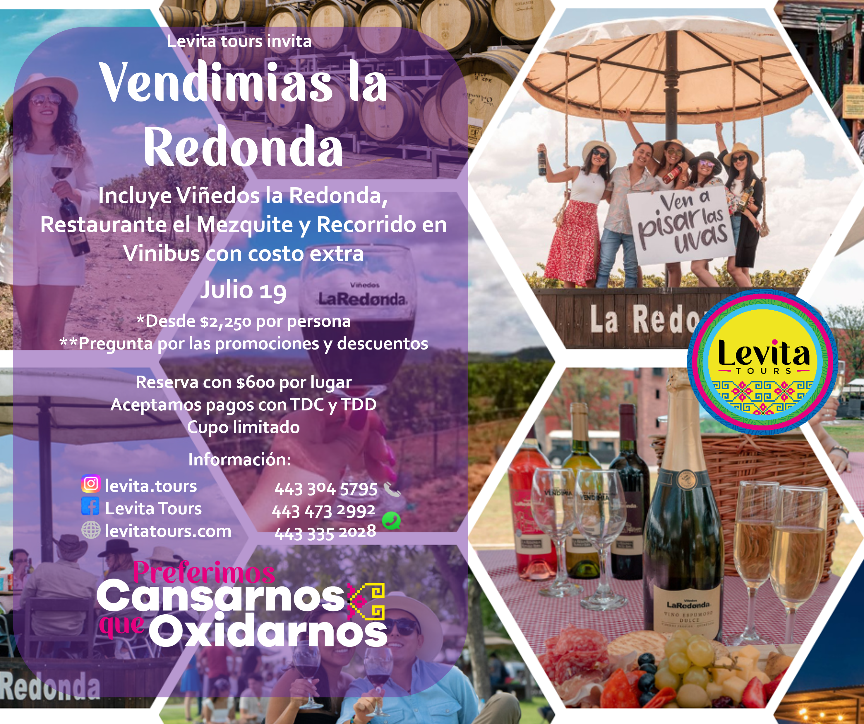 Vendimias la Redonda