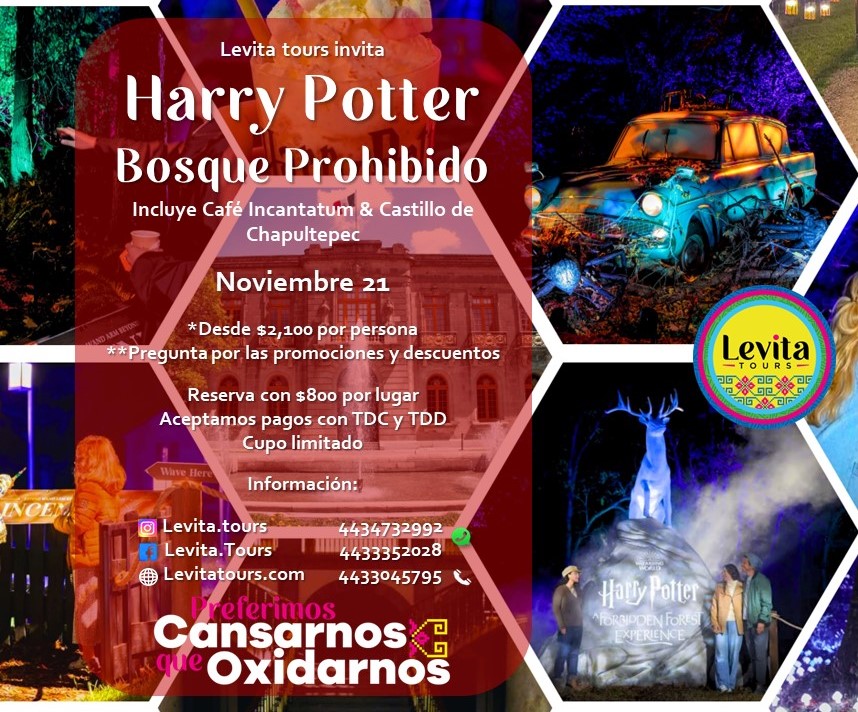 Harry Potter Bosque Prohibido