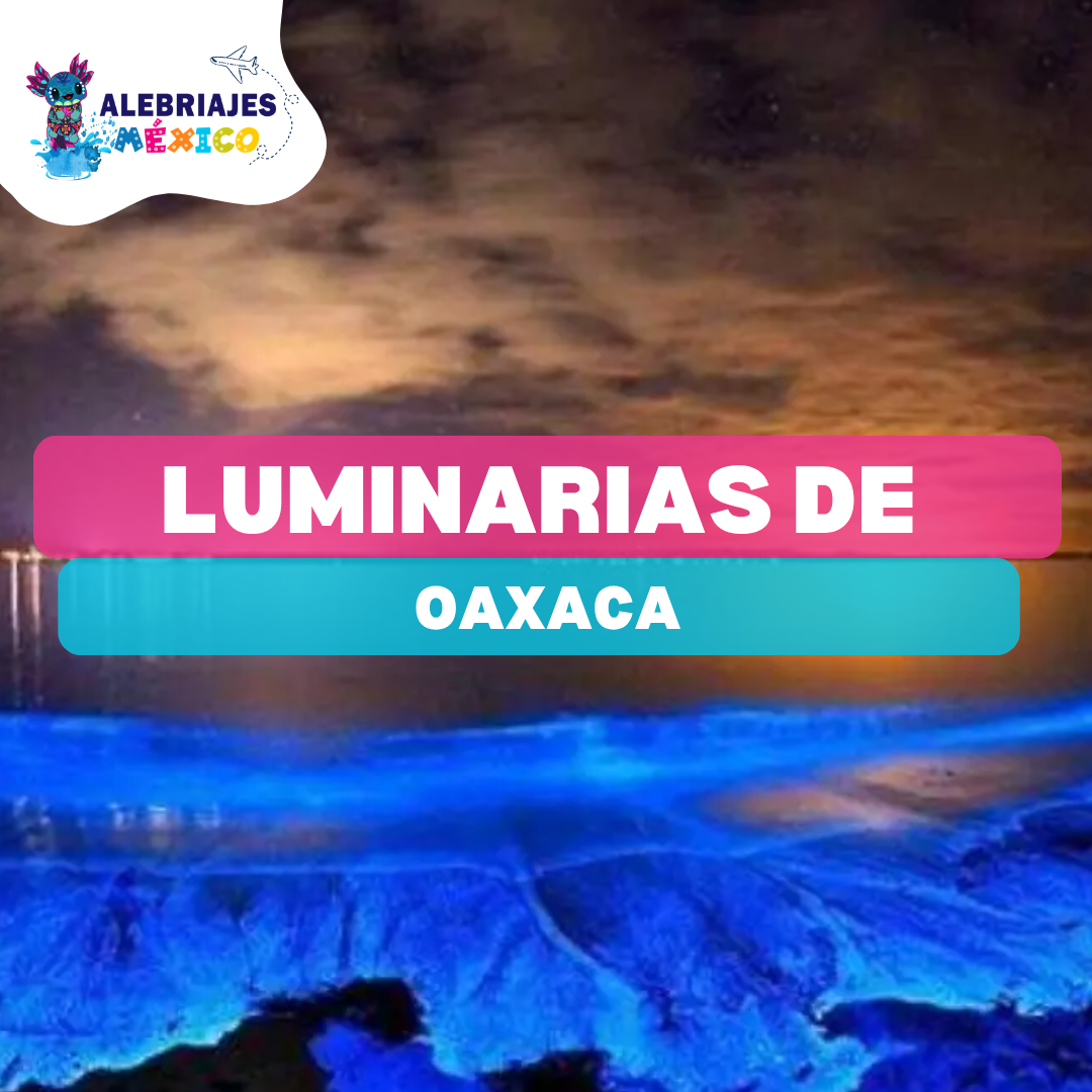 foto_noticia_636_9891776906590foto_producto.png