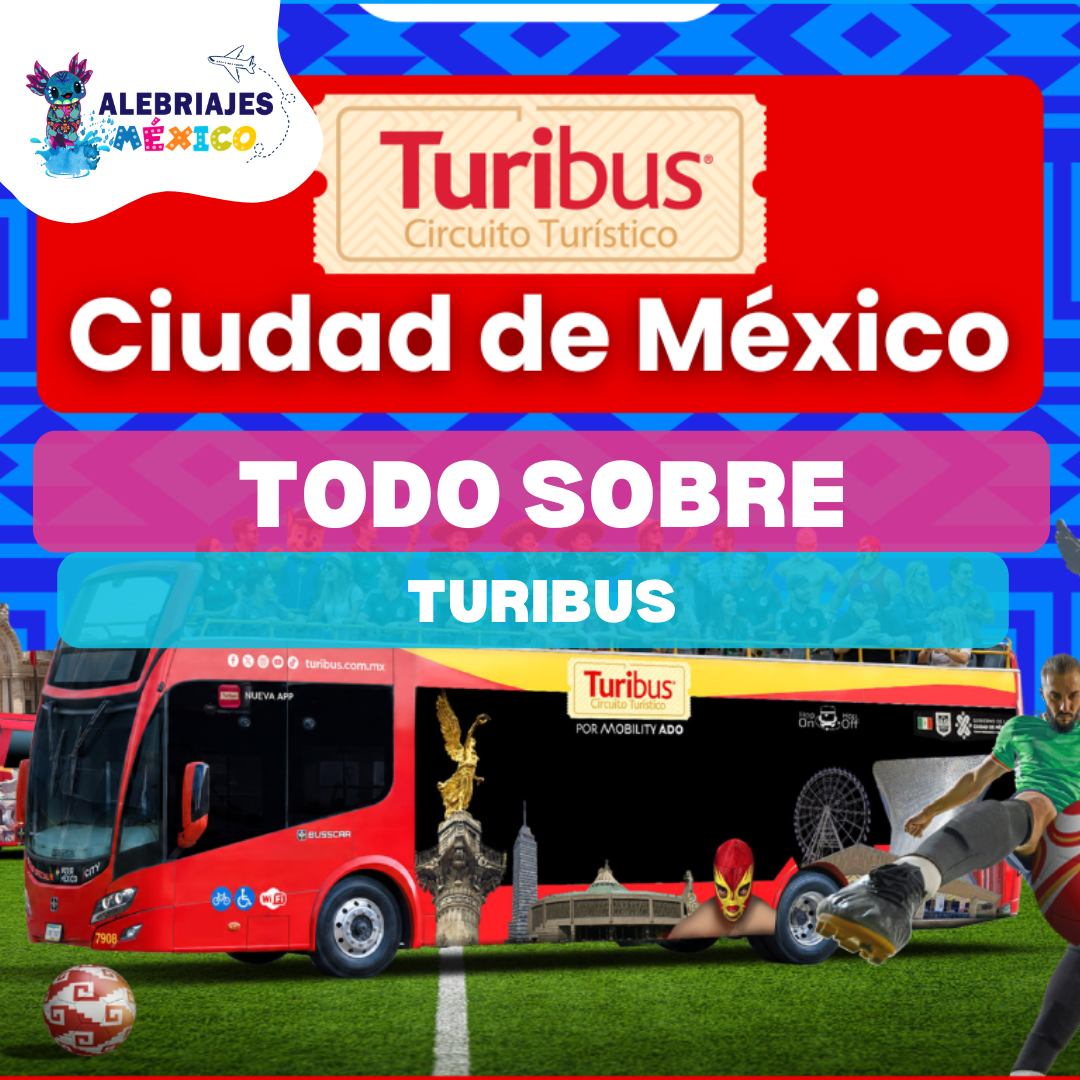 foto_noticia_636_9891782167953foto_producto.png