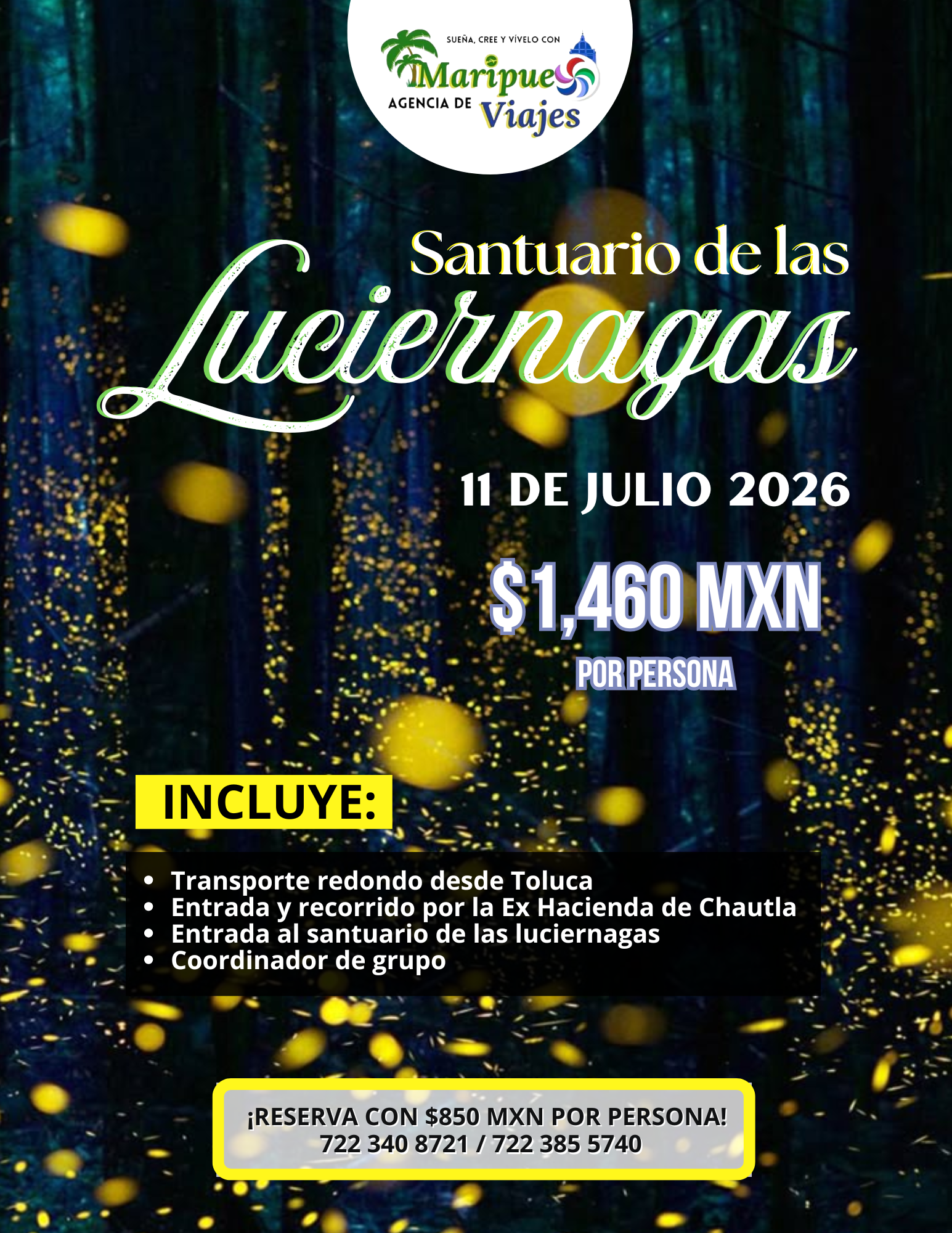 Luciernagas