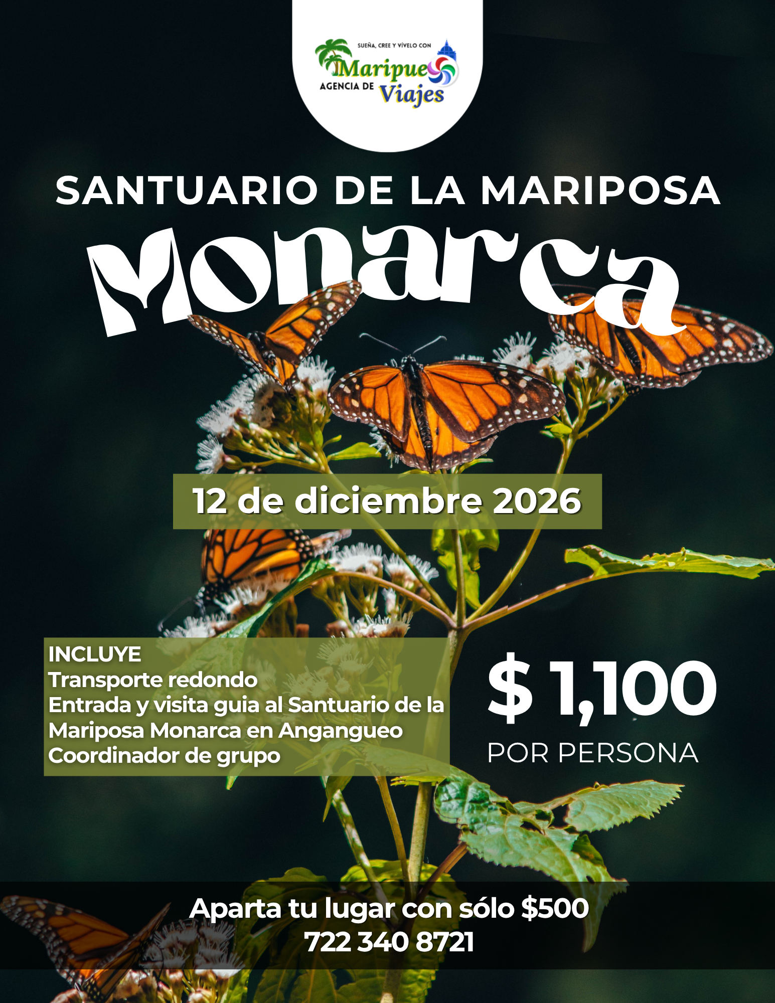 Monarca