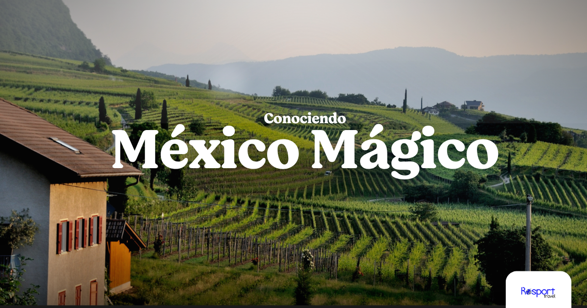 Destinos por todo el mundo al mejor precio